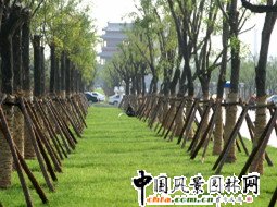 �����S��·�G�ش����ֲʾ���^(q��)