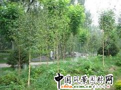 ����Ժ�ט���ʾ���^(q��)