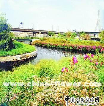 �����R�_�T���ݲ頖˹�ӱ��o�^���ǹ��@ֲ������