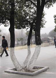 �D�ģ���Ҋ�B�w��