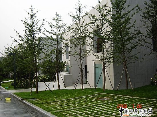 ����ƽ�ȹ�Ȫ���h���ľ��^����