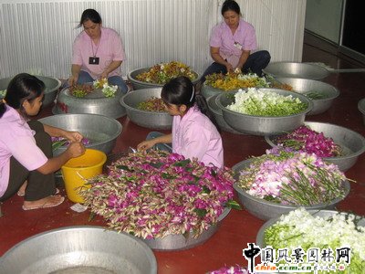 �׌Ç��H�m�����}��ӑ�������_�e��(�D)