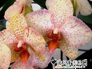 �׌Ç��H�m�����}��ӑ�������_�e��(�D)