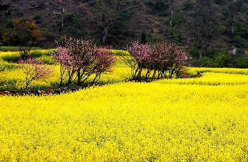 �_ƽ����ʧ���Ͳ˻��Ĵ���