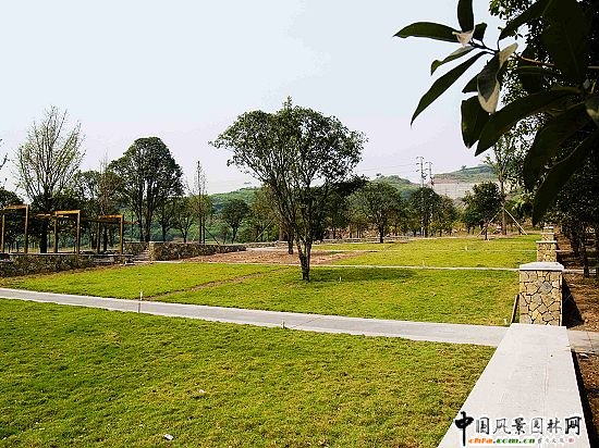 �ؑc�����^(q��)�����¹��@�@�ֽ���