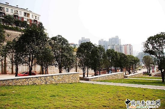 �ؑc�����^(q��)�����¹��@�@�ֽ���