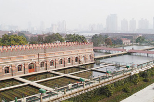 �c�����´��ڞg�[�DƬ