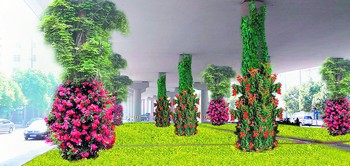 ���w�r��