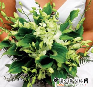 �������������m��