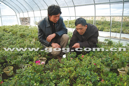 ������N���^(q��)ʾ������