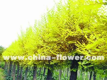 ���~��N���A���~��