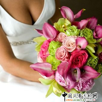 ���H��ˇ�����[2009������Y����څ��