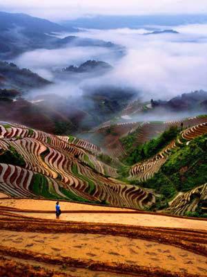 �V�����������������zӰ����ȫ����