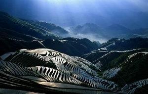 �V�����������������zӰ����ȫ����