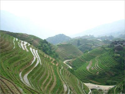 �V�����������������zӰ����ȫ����