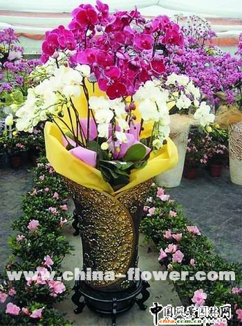 �·f���������������N(�M�D)