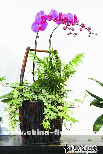 ľͰ���ͻ���