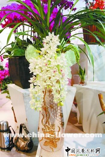 ��ƿ���ͻ���