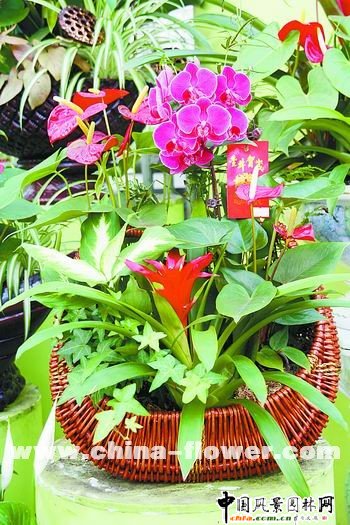 �پ�����