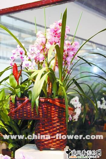 ��t���ͻ���