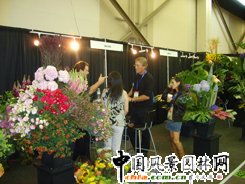 ������������չ�F(xi��n)��