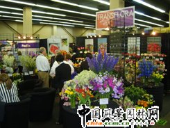 ����������һ��