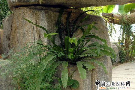 �P��ʯ���е��B��ާ