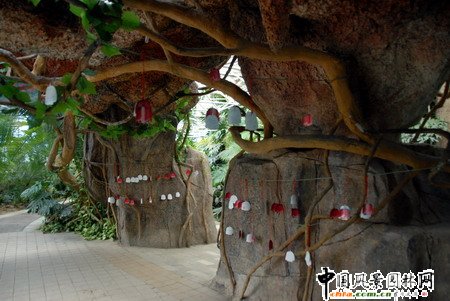 ʯ���fֲ��@�Ꭷ���҃�ֲ�ﾰ�^�p��(�M�D)