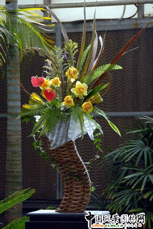 ʯ���fֲ��@�Ȳ廨���p(�M�D)