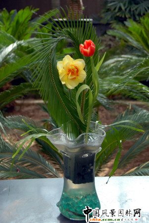 ʯ���fֲ��@�Ȳ廨���p(�M�D)