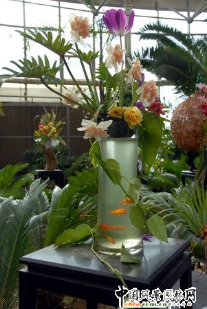 ʯ���fֲ��@�Ȳ廨���p(�M�D)