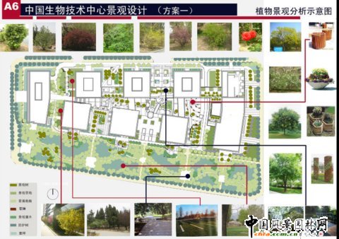 ֲ�ﾰ�^�����D