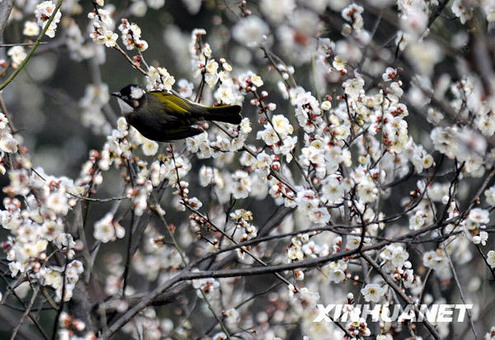 ÷��֦�^�����[