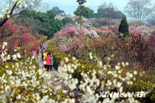 ÷�����纣�����ڻ�����