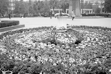 ���ı����W���x���o�� ʮ�f�r��һ��δ��