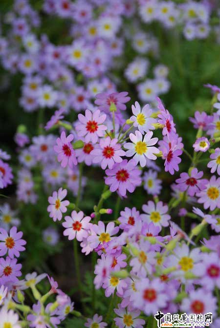 ������~�󴺽����ں�����Ϫ�׶ȡ��_����(�D)