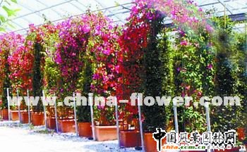 �������˹�Ł��@ˇ�a(ch��n)�I(y��)��������