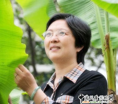 ��h���ň@�ּ��F(tu��n)�����L��ƽ