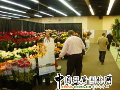 �������绨������������Σ�C����