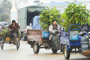 �ǸG������204�����ɂȣ��԰l�γ��˾d���L�_5������y�ӌ��I�Ј���