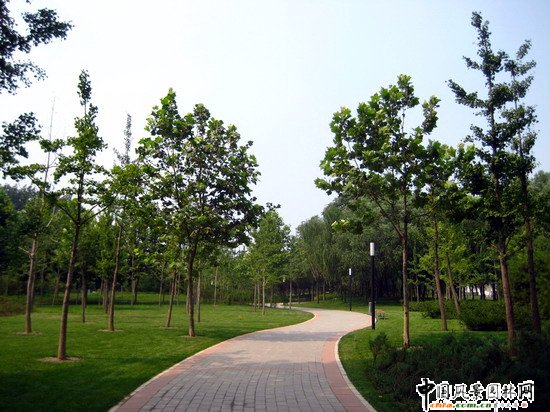 2008������|����֮������Ļ��w��������ȴ����ؾ��^