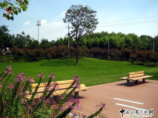 2008���(hu��)��(y��u)�|(zh��)����֮������Ļ��w���������(c��)�����ؾ��^