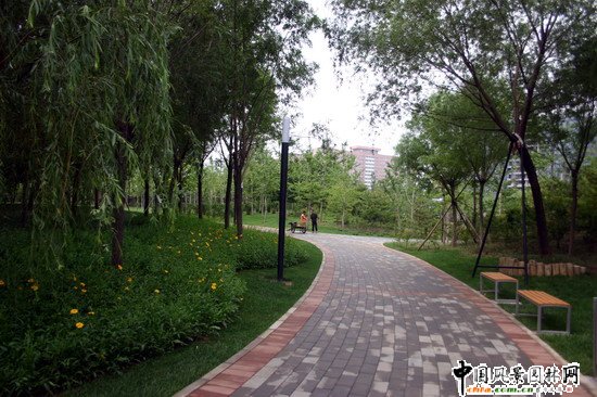 2008�����(y��u)�|(zh��)����֮������Ļ��w���������(c��)�����ؾ��^