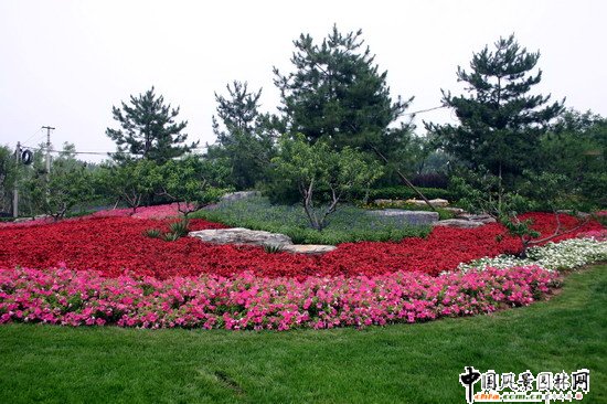 2008�����(y��u)�|����֮������Ļ��w��������ȴ����ؾ��^