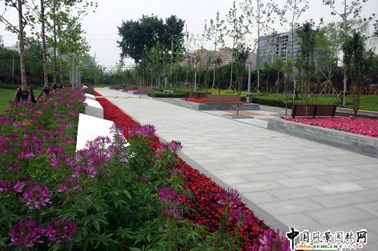 2008������|����֮������Ļ��w��������ȴ����ؾ��^