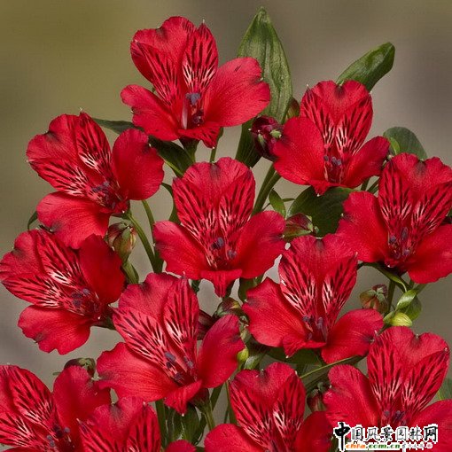 2009����(gu��)������(hu��)չƷ��(n��i)����������