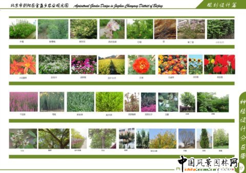 種植設(shè)計分區(qū)圖