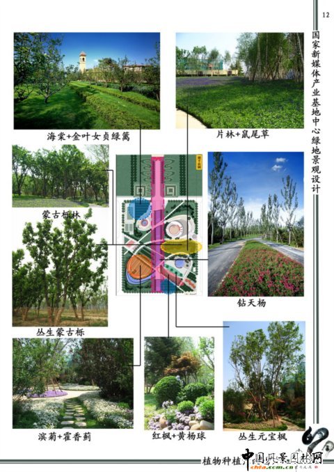 北林畢業作品之國家新媒體產業基地創新園區中心綠地景觀設計