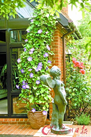 �Ⱥÿ��ֺ��B�Ġ�ţ����