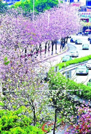 ����·׃�����G���ĺ���